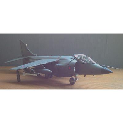 04 BAE Sea Harrier FRS_Mk1 by Mark.jpg